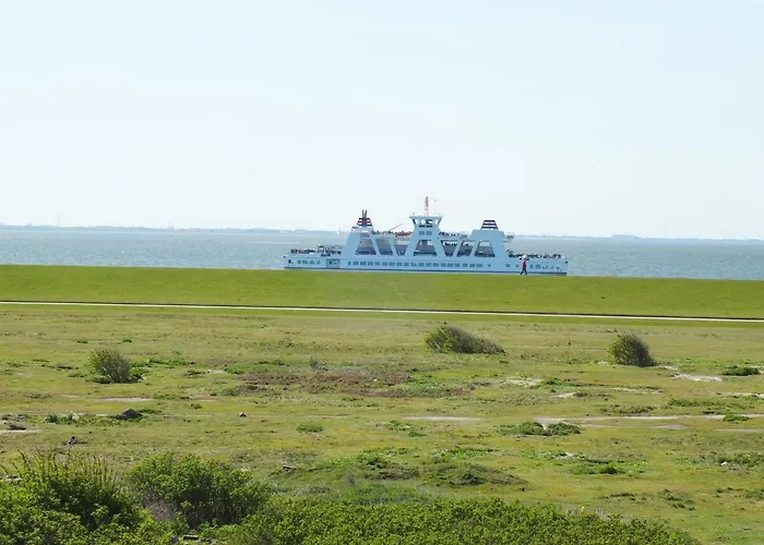 Rosenboom Rosenboom 01 Norderney